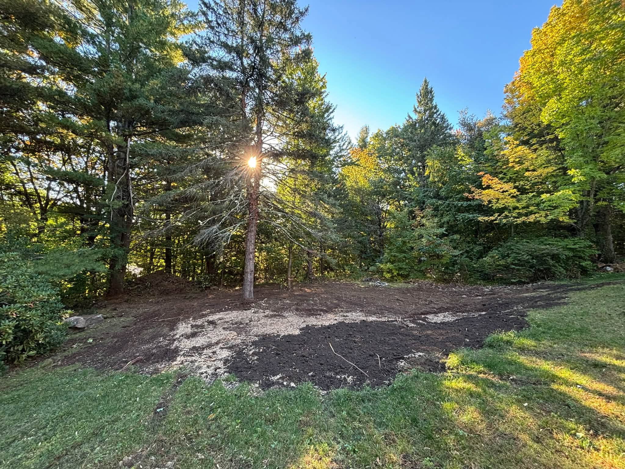 Graded and seeded area after stump grinding — Princeton, MA